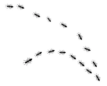 Ant Logo template vector illustration Stock Illustration