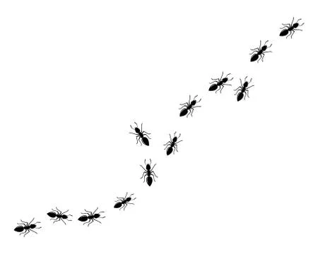 Ant Logo template vector illustration Illustration
