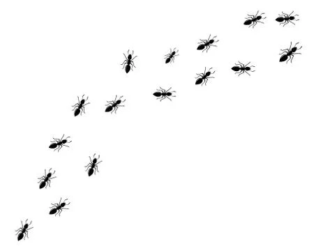 Ant Logo template vector illustration Stock Illustration