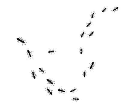 Ant Logo template vector illustration Illustration