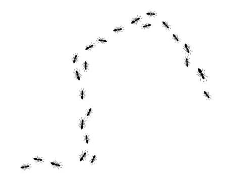 Ant Logo template vector illustration Illustration