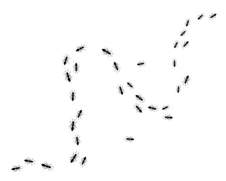 Ant Logo template vector illustration Illustration