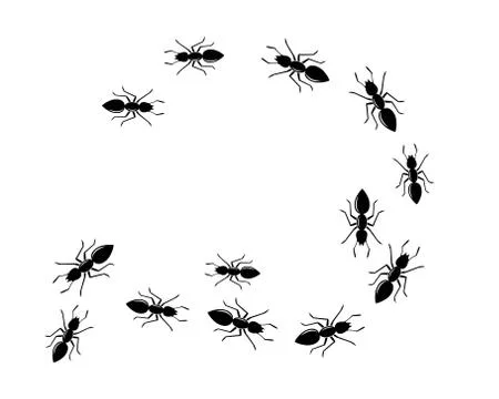 Ant Logo template vector illustration Illustration