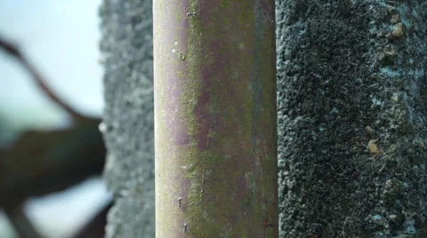 Ant Moving On An Old Rusty Pipe Stock Footage 34731116