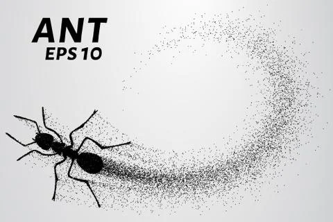 Ant of the particles. The ant consists of small circles. Vector illustration Stock Illustration