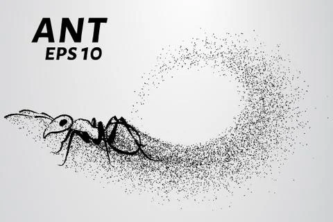 Ant of the particles. The ant consists of small circles. Vector illustration Stock Illustration