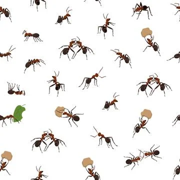 Ant pattern, abstract insects. Realistic isolated elements, summer nature a.. Stock Illustration