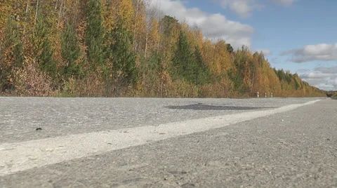 Ant on the road Stock Footage 30479867