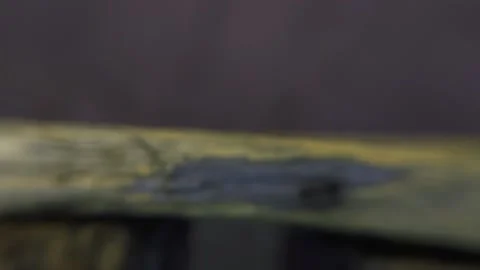 The ant runs on the ground macro Stock Footage 136941652