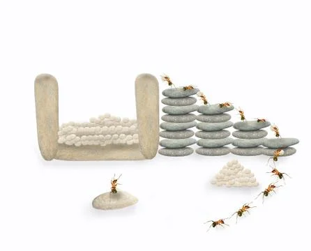 Ant scenes work Stock Photos