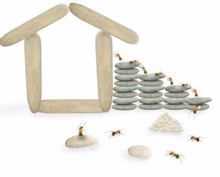 Ant scenes work Foto stock