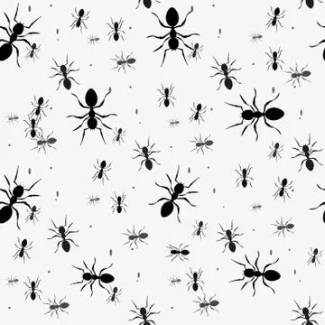 Ant seamless pattern. Black and white vector seamless pattern with ants. Anim Stock Illustration