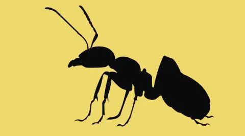 Ant Silhouette Illustrazione stock