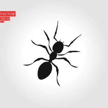 Ant silhouette vector. Insect in black and white concept. Stock Illustration