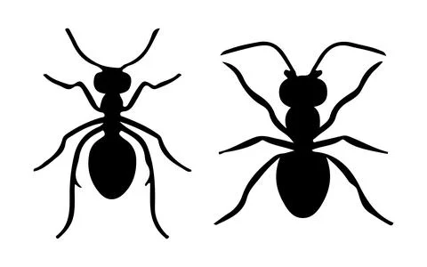 Ant silhouette vector set design Stock Illustration