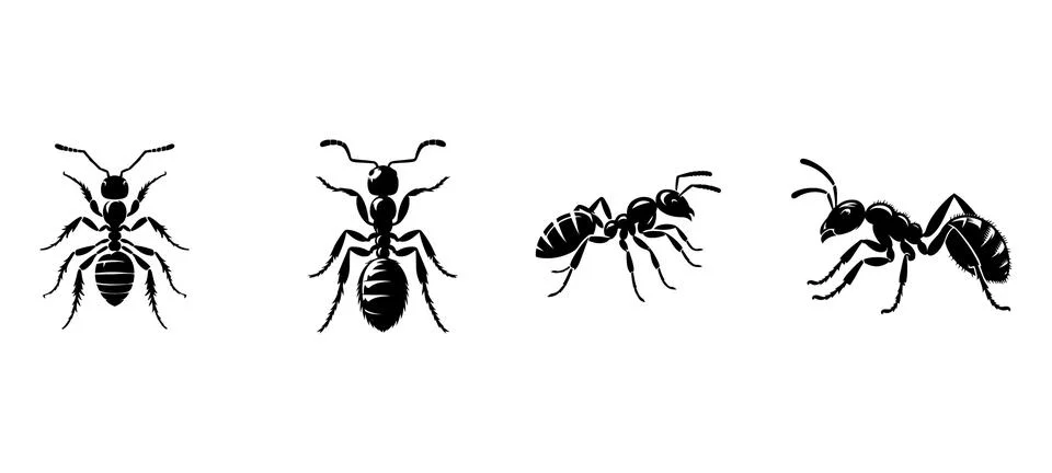 Ant silhouette vector set design Stock Illustration