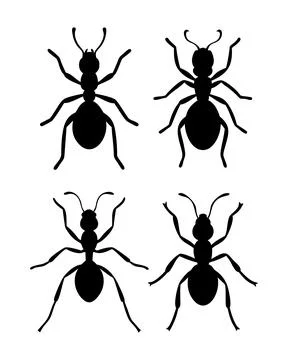 Ant silhouettes Stock Illustration