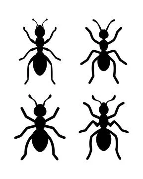 Ant silhouettes Stock Illustration