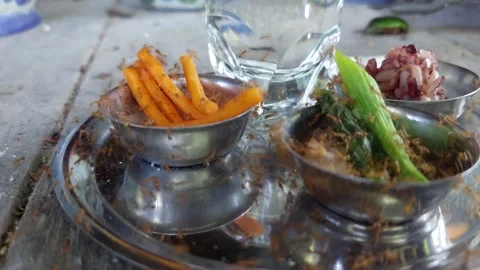 The ant is startled by the disturbance Stock-Footage 260445832