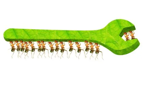 Ant team Stock Illustration
