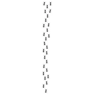 Ant trail. Ants marching or walking. Vector illustration. Stock Illustration
