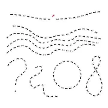 Ant trail illustration. Insect path to the home. Illustrazione stock