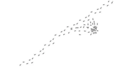 Ant trail. Walking group of black insects. Line of worker ants marching in Stock Illustration