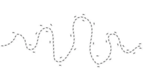 Ant trail. Walking group of black insects. Line of worker ants marching in Stock Illustration