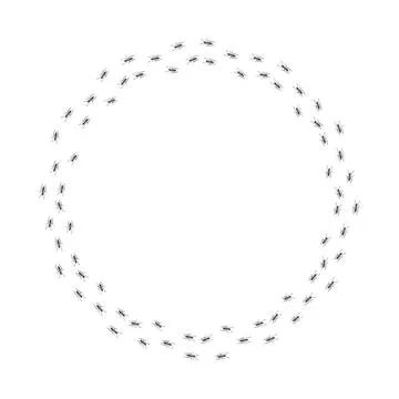 Ant trail. Walking group of black insects. Line of worker ants marching in Stock Illustration