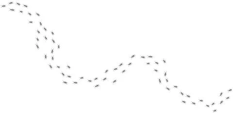 Ant trail. Walking group of black insects. Line of worker ants marching in Stock Illustration