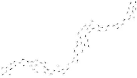 Ant trail. Walking group of black insects. Line of worker ants marching in Stock Illustration