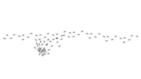 Ant trail. Walking group of black insects. Line of worker ants marching in Illustrazione stock