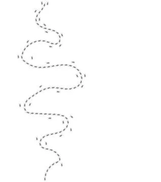 Ant trail. Walking group of black insects. Line of worker ants marching in Stock Illustration