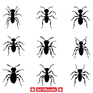 Ant Trails Dynamic Vector Silhouettes for Creative Insectthemed Projects Stock Illustration