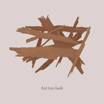 Ant tree bark on a gray background and logo. Stock Illustration