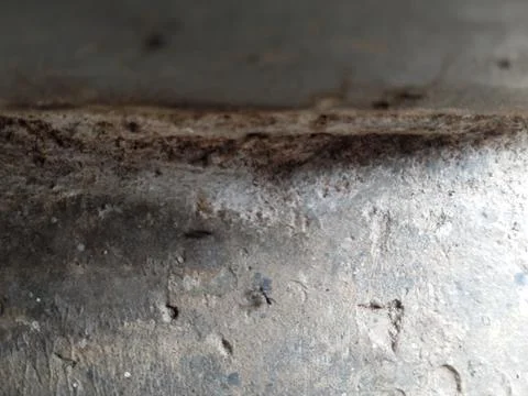 Ant troops Foto stock