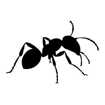 Ant vector black icon on white background Stock Illustration