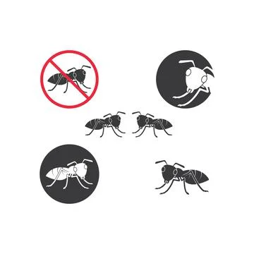 Ant vector icon illustration design Illustration