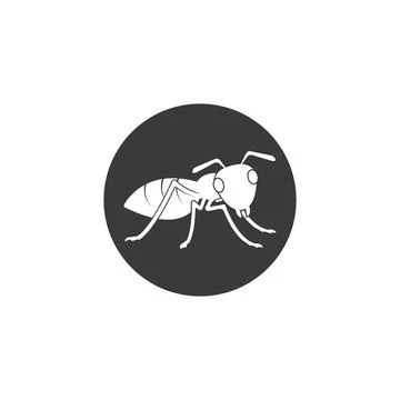 Ant vector icon illustration design Illustration