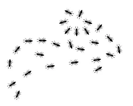 Ant vector illustration design Illustration
