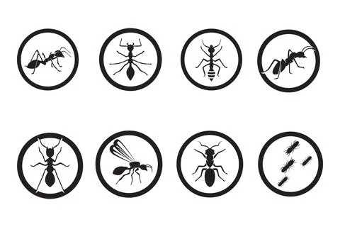 Ant vector illustration design Illustration