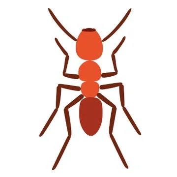 Ant vector illustration isolated on white Stock Illustration