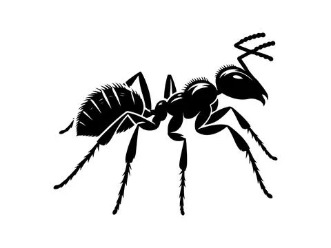 Ant vector illustration on white background イラスト素材