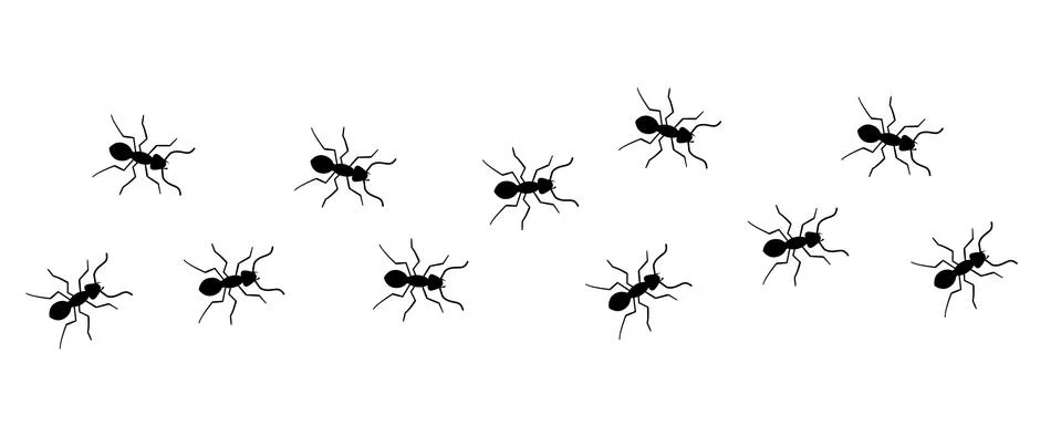 Ant vector trail marching illustration. Ant bug pest control background teamwork Stock Illustration
