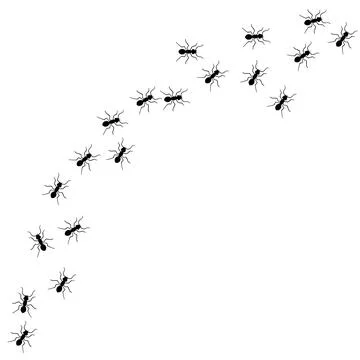Ant vector trail marching illustration. Ant bug pest control background teamwork Stock Illustration