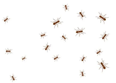 Ant vector trail marching illustration. Ant bug pest control background teamwork Stock Illustration