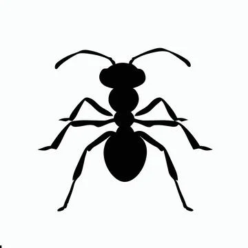 Ant vector, Vector Image of ant ,black and white color theme Stock Illustration