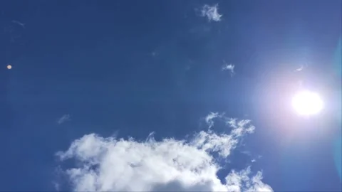 Ant view looking up at the clear sky. The trees are very blown 스톡 동영상 157363727