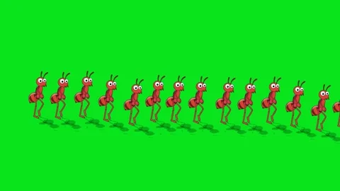 Ant Walking video Video stock 324863499
