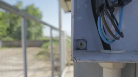 Ant worker carrying white eggs to the outdoor power socket box. Video stock 202259781